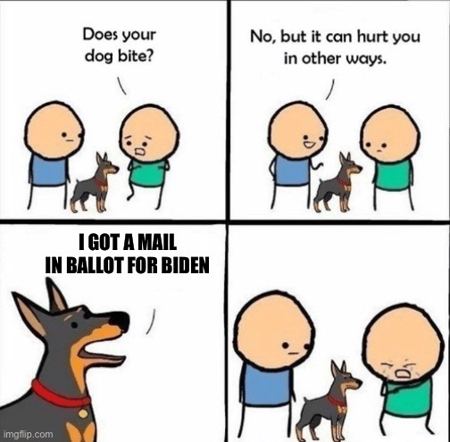 And that’s how Democrats win | I GOT A MAIL IN BALLOT FOR BIDEN | image tagged in does your dog bite,mail in ballot,pets voting,election fraud,joe biden | made w/ Imgflip meme maker