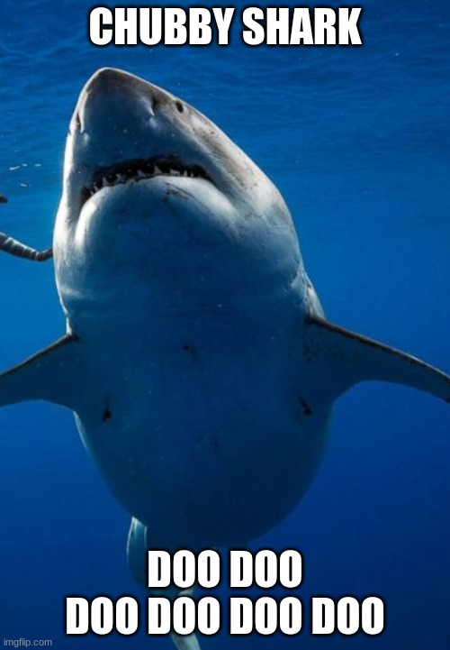 fat shark | CHUBBY SHARK; DOO DOO DOO DOO DOO DOO | image tagged in fat shark | made w/ Imgflip meme maker