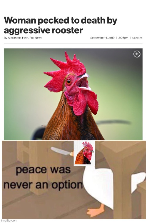 Peace was never an option | image tagged in meme | made w/ Imgflip meme maker
