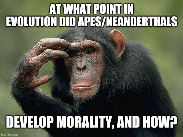Primate lessons | AT WHAT POINT IN EVOLUTION DID APES/NEANDERTHALS; DEVELOP MORALITY, AND HOW? | image tagged in thinking monkey,evolution,ape,man,morality | made w/ Imgflip meme maker