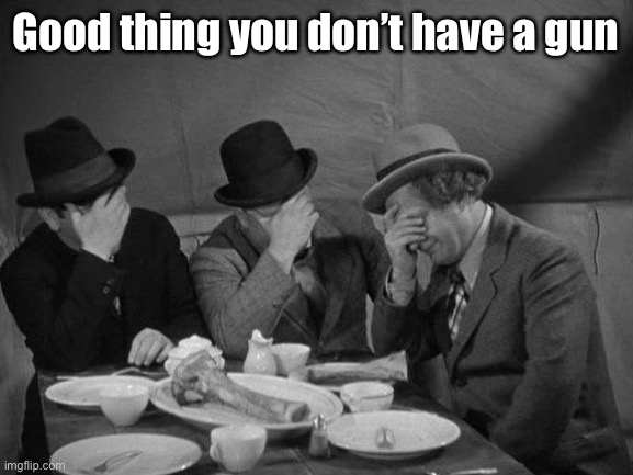 Stooges Facepalm | Good thing you don’t have a gun | image tagged in stooges facepalm | made w/ Imgflip meme maker
