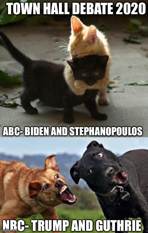 TOWN HALL DEBATE 2020; ABC- BIDEN AND STEPHANOPOULOS; NBC- TRUMP AND GUTHRIE | image tagged in kitten hugs | made w/ Imgflip meme maker