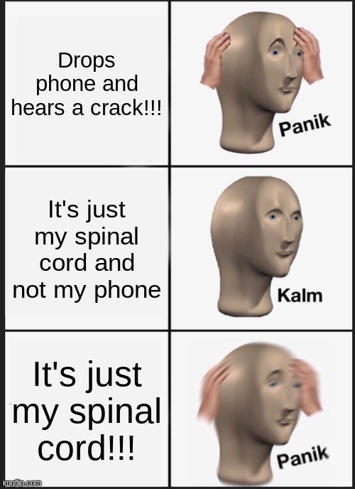 Panik Kalm Panik Meme | Drops phone and hears a crack!!! It's just my spinal cord and not my phone; It's just my spinal cord!!! | image tagged in memes,panik kalm panik | made w/ Imgflip meme maker