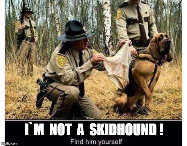 SKIDHOUND | I`M  NOT  A  SKIDHOUND ! | image tagged in this is fine dog | made w/ Imgflip meme maker