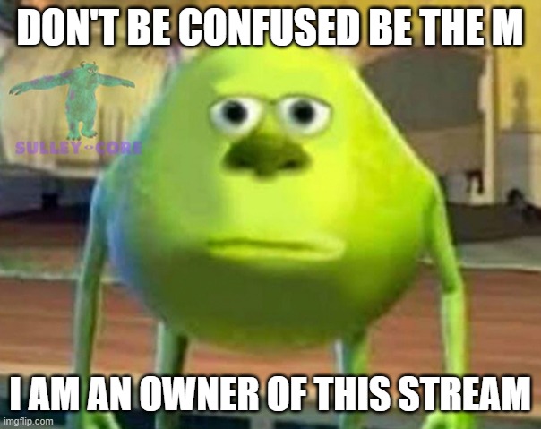 Monsters Inc | DON'T BE CONFUSED BE THE M I AM AN OWNER OF THIS STREAM | image tagged in monsters inc | made w/ Imgflip meme maker
