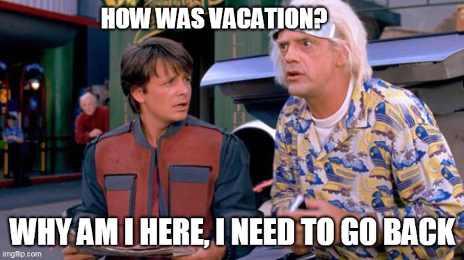 Coming back from vacation | HOW WAS VACATION? WHY AM I HERE, I NEED TO GO BACK | image tagged in back to the future | made w/ Imgflip meme maker