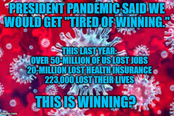 Billionaires Wealth Has Grown by 30%.  He Was Talking To Them. | PRESIDENT PANDEMIC SAID WE WOULD GET "TIRED OF WINNING."; THIS LAST YEAR:
OVER 50-MILLION OF US LOST JOBS
20-MILLION LOST HEALTH INSURANCE
223,000 LOST THEIR LIVES; THIS IS WINNING? | image tagged in politics | made w/ Imgflip meme maker