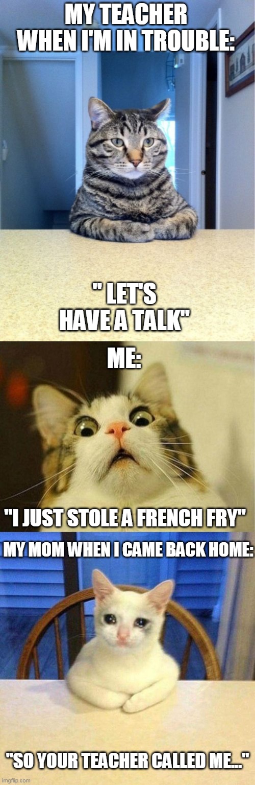 Seven Careless Hours Of Obnoxious so called "Learning" | MY TEACHER WHEN I'M IN TROUBLE:; " LET'S HAVE A TALK"; ME:; "I JUST STOLE A FRENCH FRY"; MY MOM WHEN I CAME BACK HOME:; "SO YOUR TEACHER CALLED ME..." | image tagged in memes,take a seat cat,scared cat,car sitting | made w/ Imgflip meme maker