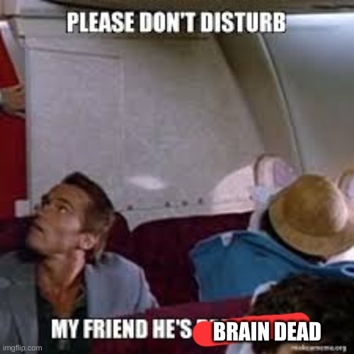 Please don't disturb my friend he's dead tired | BRAIN DEAD | image tagged in please don't disturb my friend he's dead tired | made w/ Imgflip meme maker