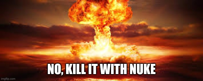 nuke | NO, KILL IT WITH NUKE | image tagged in nuke | made w/ Imgflip meme maker