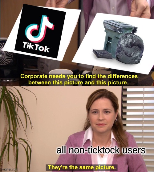 They're The Same Picture Meme | all non-ticktock users | image tagged in memes,they're the same picture | made w/ Imgflip meme maker