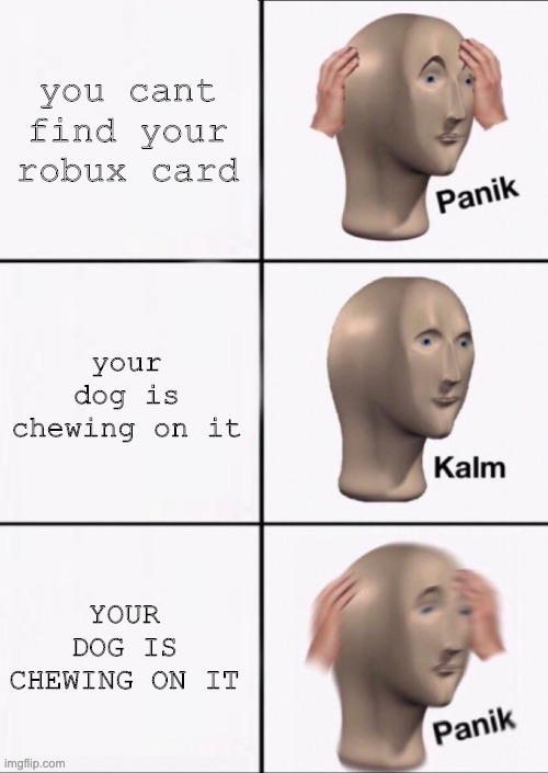 Stonks Panic Calm Panic | you cant find your robux card; your dog is chewing on it; YOUR DOG IS CHEWING ON IT | image tagged in stonks panic calm panic | made w/ Imgflip meme maker