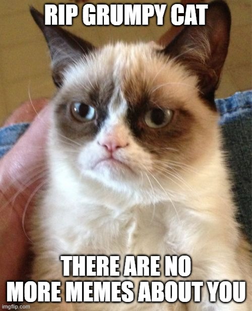 Grumpy Cat Meme | RIP GRUMPY CAT; THERE ARE NO MORE MEMES ABOUT YOU | image tagged in memes,grumpy cat | made w/ Imgflip meme maker