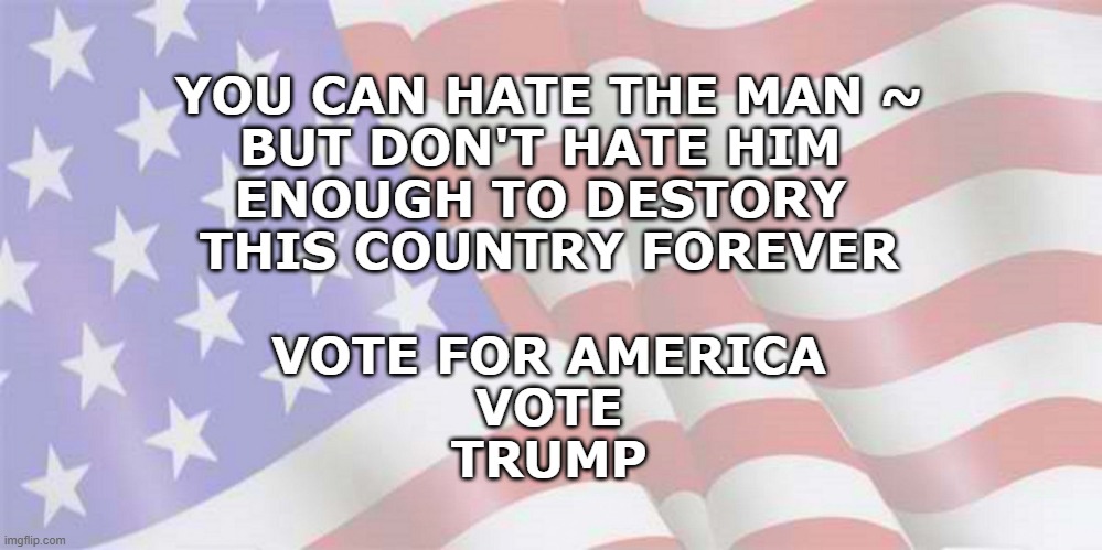 Your vote matters | YOU CAN HATE THE MAN ~
BUT DON'T HATE HIM 
ENOUGH TO DESTORY 
THIS COUNTRY FOREVER
 
VOTE FOR AMERICA
VOTE
TRUMP | image tagged in faded american flag | made w/ Imgflip meme maker