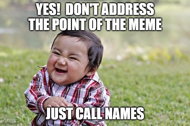 naughty kid | YES!  DON'T ADDRESS THE POINT OF THE MEME JUST CALL NAMES | image tagged in naughty kid | made w/ Imgflip meme maker