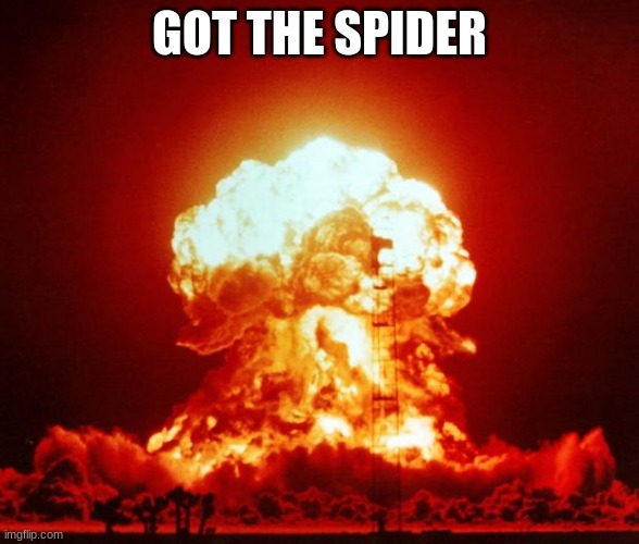 Nuke | GOT THE SPIDER | image tagged in nuke | made w/ Imgflip meme maker