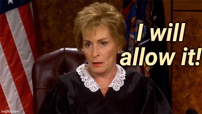 Judge Judy Unimpressed | I will allow it! | image tagged in judge judy unimpressed | made w/ Imgflip meme maker