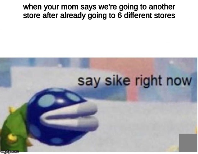 it true tho | when your mom says we're going to another store after already going to 6 different stores | image tagged in say sike right now | made w/ Imgflip meme maker