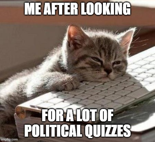 Political quizzes | ME AFTER LOOKING; FOR A LOT OF POLITICAL QUIZZES | image tagged in tired cat,quiz,politcs | made w/ Imgflip meme maker