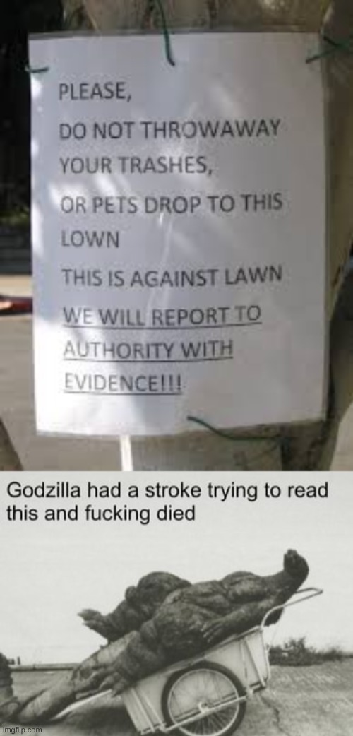 image tagged in godzilla dies trying to read | made w/ Imgflip meme maker