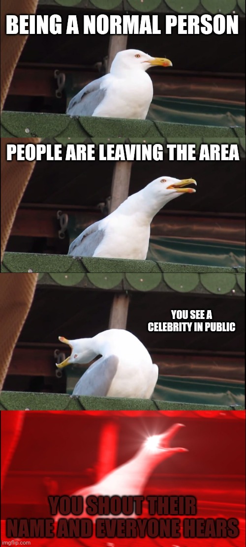 When you are being a normal person: | BEING A NORMAL PERSON; PEOPLE ARE LEAVING THE AREA; YOU SEE A CELEBRITY IN PUBLIC; YOU SHOUT THEIR NAME AND EVERYONE HEARS | image tagged in memes,inhaling seagull | made w/ Imgflip meme maker