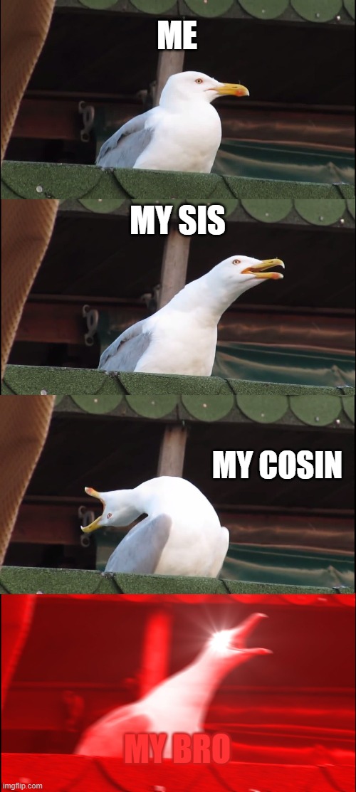 look the end | ME; MY SIS; MY COSIN; MY BRO | image tagged in memes,inhaling seagull | made w/ Imgflip meme maker