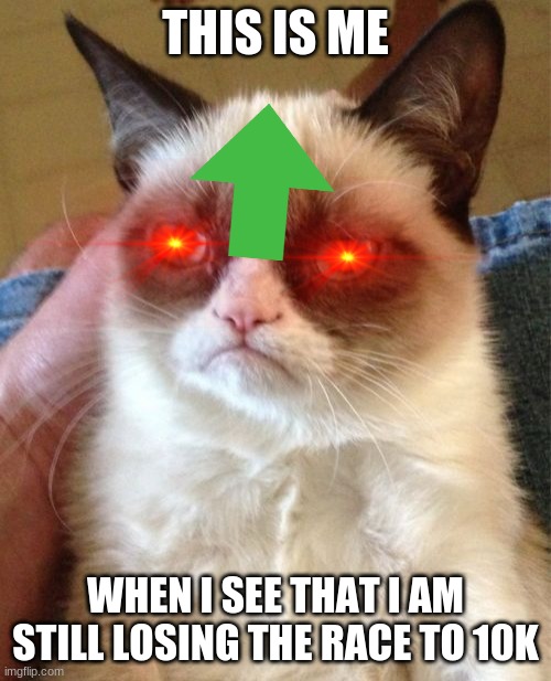 Grumpy Cat Meme | THIS IS ME; WHEN I SEE THAT I AM STILL LOSING THE RACE TO 10K | image tagged in memes,grumpy cat | made w/ Imgflip meme maker