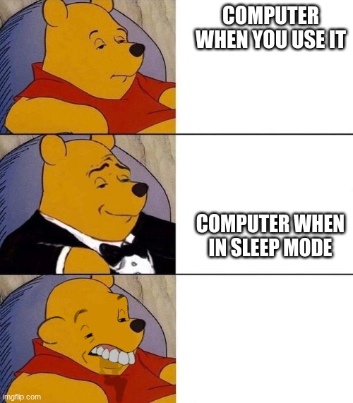 Best,Better, Blurst | COMPUTER WHEN YOU USE IT; COMPUTER WHEN IN SLEEP MODE | image tagged in best better blurst | made w/ Imgflip meme maker