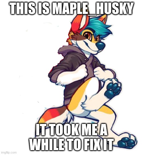 I'm not gonna lie maple is like a brother to me *sad fox noises* | THIS IS MAPLE_HUSKY; IT TOOK ME A WHILE TO FIX IT | image tagged in furry,oc | made w/ Imgflip meme maker