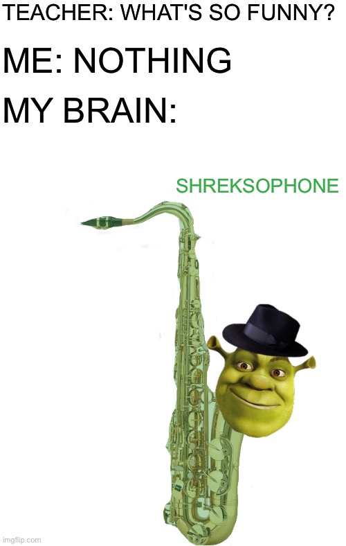 Shreksophone | TEACHER: WHAT'S SO FUNNY? ME: NOTHING; MY BRAIN:; SHREKSOPHONE | image tagged in blank white template,shreksophone,memes | made w/ Imgflip meme maker