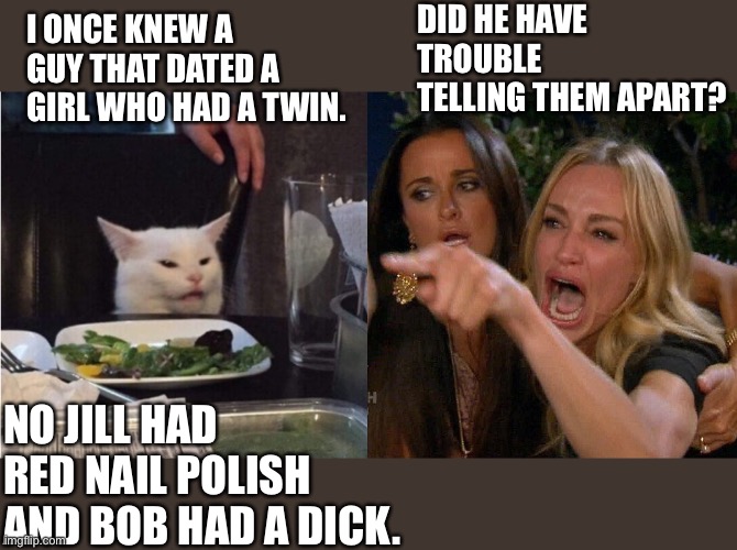 Woman yelling at cat | DID HE HAVE TROUBLE TELLING THEM APART? I ONCE KNEW A GUY THAT DATED A GIRL WHO HAD A TWIN. NO JILL HAD RED NAIL POLISH AND BOB HAD A DICK. | image tagged in reverse cat at dinner table | made w/ Imgflip meme maker