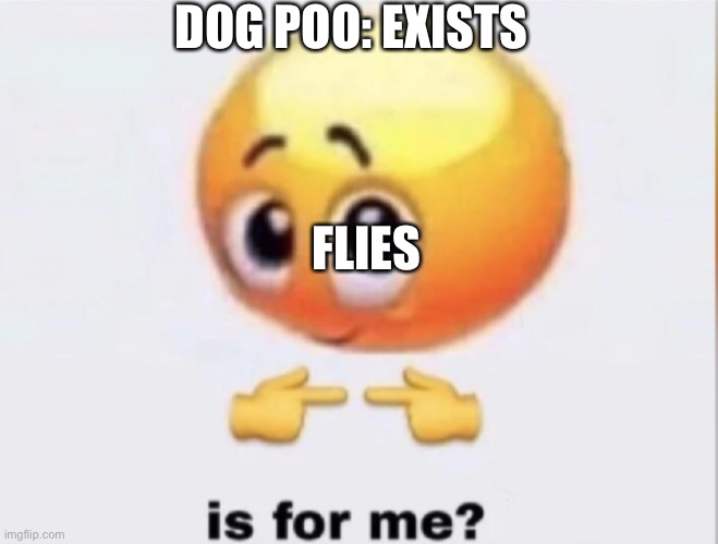 is for me? | DOG POO: EXISTS; FLIES | image tagged in is for me | made w/ Imgflip meme maker