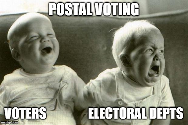 HappySadBabies | POSTAL VOTING; VOTERS                 ELECTORAL DEPTS | image tagged in happysadbabies | made w/ Imgflip meme maker