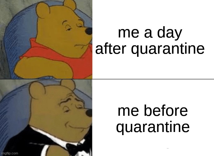 Tuxedo Winnie The Pooh | me a day after quarantine; me before quarantine | image tagged in memes,tuxedo winnie the pooh | made w/ Imgflip meme maker