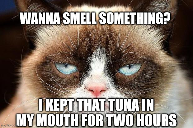 Grumpy Cat Not Amused Meme | WANNA SMELL SOMETHING? I KEPT THAT TUNA IN MY MOUTH FOR TWO HOURS | image tagged in memes,grumpy cat not amused,grumpy cat | made w/ Imgflip meme maker
