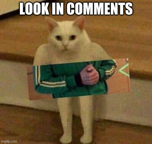 cursedcat | LOOK IN COMMENTS | image tagged in cursedcat | made w/ Imgflip meme maker