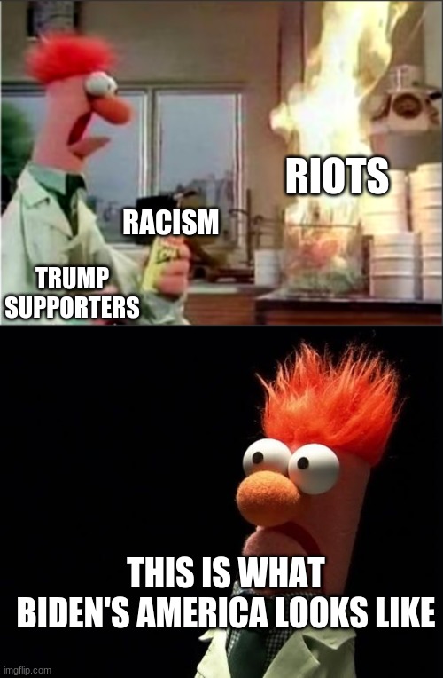 RIOTS; RACISM; TRUMP SUPPORTERS; THIS IS WHAT BIDEN'S AMERICA LOOKS LIKE | image tagged in muppets,muppet | made w/ Imgflip meme maker