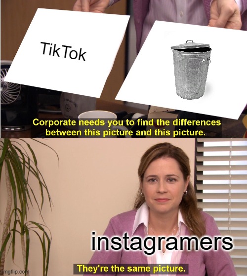 Instagramers, look at this meme | TikTok; instagramers | image tagged in memes,they're the same picture | made w/ Imgflip meme maker