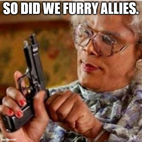 Madea With a Gun | SO DID WE FURRY ALLIES. | image tagged in madea with a gun | made w/ Imgflip meme maker