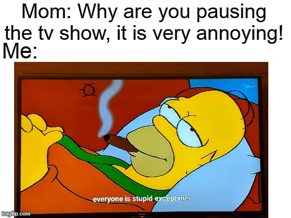 Mom: Why are you pausing the tv show, it is very annoying! Me: | image tagged in everyone is stupid except me | made w/ Imgflip meme maker