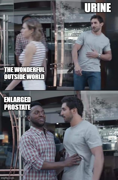 A Horrible Feeling | URINE; THE WONDERFUL OUTSIDE WORLD; ENLARGED PROSTATE | image tagged in black guy stopping,medical,prostate exam,toilet,medical school | made w/ Imgflip meme maker