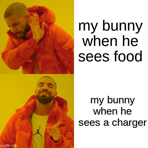 Drake Hotline Bling Meme | my bunny when he sees food; my bunny when he sees a charger | image tagged in memes,drake hotline bling | made w/ Imgflip meme maker