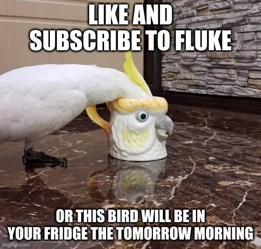 CuRsEd CoCkAtOo ImAgE | LIKE AND SUBSCRIBE TO FLUKE; OR THIS BIRD WILL BE IN YOUR FRIDGE THE TOMORROW MORNING | image tagged in cursed image,like and subscribe,like,subscribe,smash subscribe | made w/ Imgflip meme maker