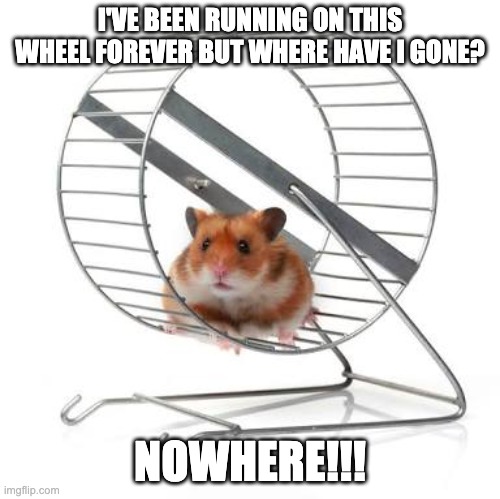 I'm confused... | I'VE BEEN RUNNING ON THIS WHEEL FOREVER BUT WHERE HAVE I GONE? NOWHERE!!! | image tagged in hamster wheel | made w/ Imgflip meme maker