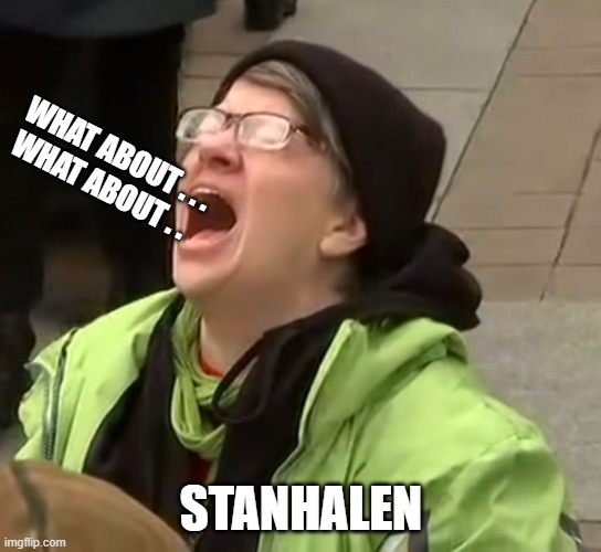 snowflake | WHAT ABOUT . . .
WHAT ABOUT . . STANHALEN | image tagged in snowflake | made w/ Imgflip meme maker