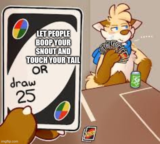 furry draw 25 | LET PEOPLE BOOP YOUR SNOUT AND TOUCH YOUR TAIL | image tagged in furry draw 25 | made w/ Imgflip meme maker