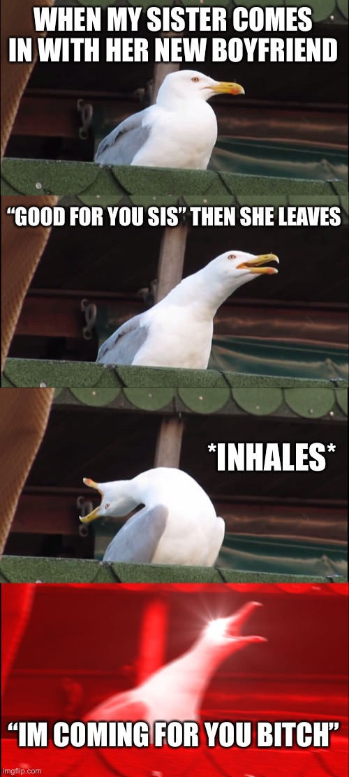 Inhaling Seagull | WHEN MY SISTER COMES IN WITH HER NEW BOYFRIEND; “GOOD FOR YOU SIS” THEN SHE LEAVES; *INHALES*; “IM COMING FOR YOU BITCH” | image tagged in memes,inhaling seagull | made w/ Imgflip meme maker