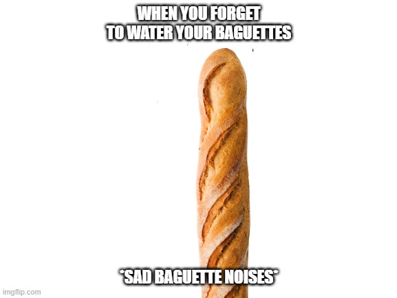 Blank White Template | WHEN YOU FORGET TO WATER YOUR BAGUETTES; *SAD BAGUETTE NOISES* | image tagged in blank white template | made w/ Imgflip meme maker