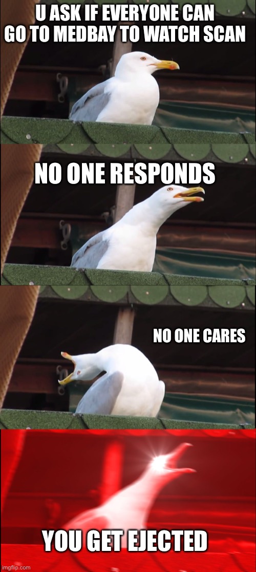 When you ask for people to go to medbay to prove your innocence | U ASK IF EVERYONE CAN GO TO MEDBAY TO WATCH SCAN; NO ONE RESPONDS; NO ONE CARES; YOU GET EJECTED | image tagged in memes,inhaling seagull | made w/ Imgflip meme maker