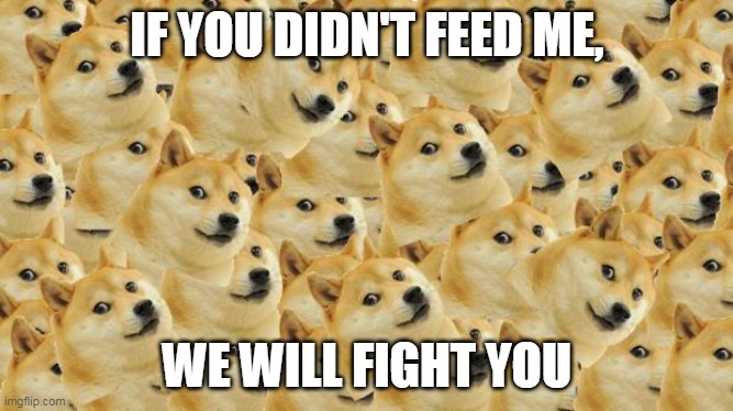 Multi Doge | IF YOU DIDN'T FEED ME, WE WILL FIGHT YOU | image tagged in memes,multi doge | made w/ Imgflip meme maker
